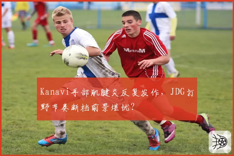 Kanavi手部肌腱炎反复发作，JDG打野节奏断档前景堪忧？