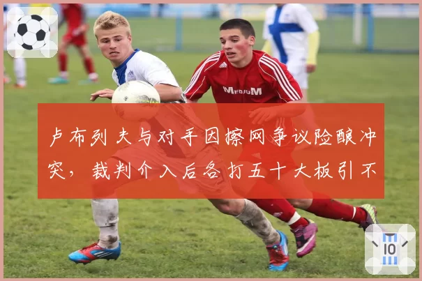卢布列夫与对手因擦网争议险酿冲突，裁判介入后各打五十大板引不满