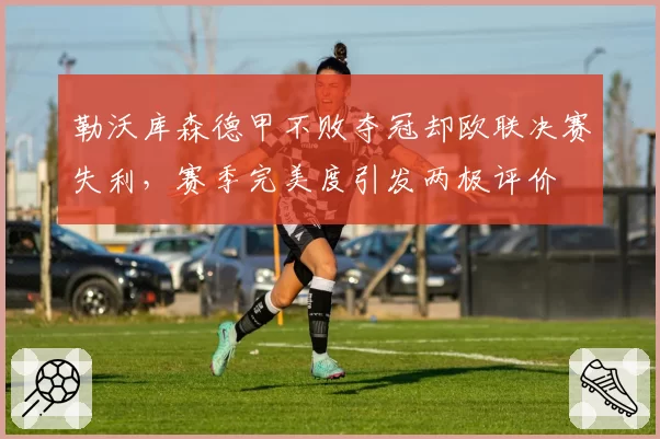 勒沃库森德甲不败夺冠却欧联决赛失利，赛季完美度引发两极评价